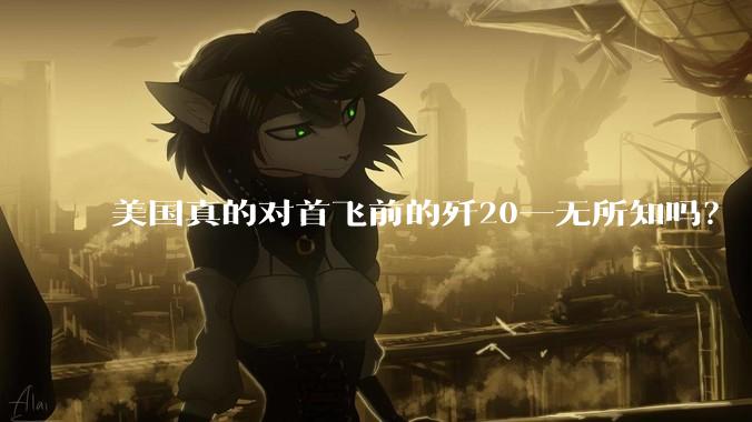 美国真的对首飞前的歼20一无所知吗？